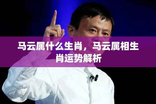 环肥燕瘦 第5页