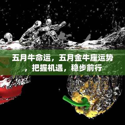 五月金牛座运势展望，把握机遇，命运稳步前行