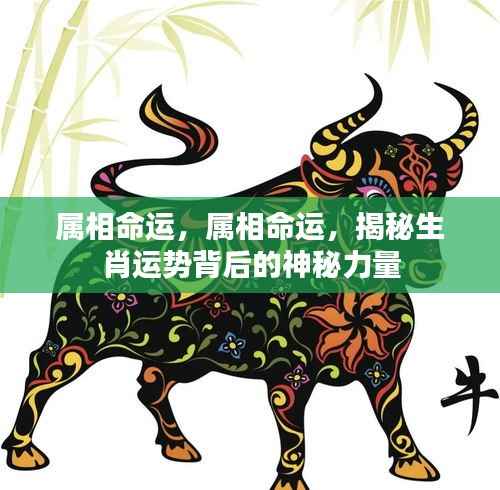 志在四方 第5页