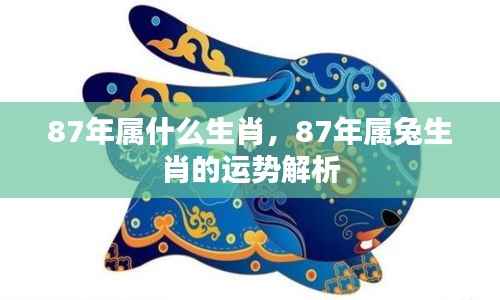 飞黄腾达 第6页