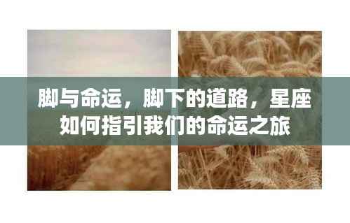 星座指引，脚下的道路与命运之旅的探寻