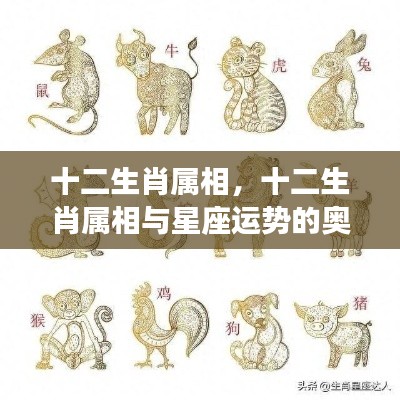 屈高就下 第5页