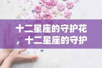 十二星座守护花，花语中的星座奥秘揭秘