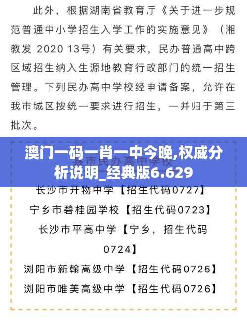 澳门一码一肖一中今晚,权威分析说明_经典版6.629