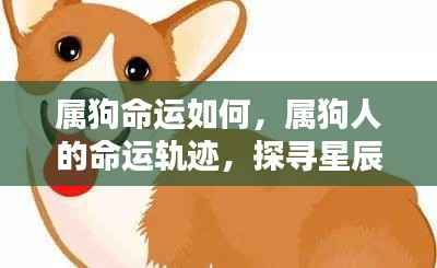 精耕细作 第6页