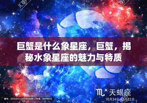 揭秘巨蟹座，水象星座的魅力与特质探究