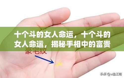 打张鸡儿 第6页