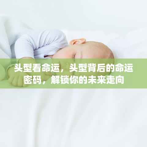 头型背后的命运密码，揭示未来走向的密码