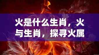 火属性生肖的独特魅力探寻，火与生肖的关联及解析