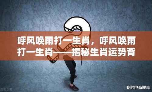 揭秘生肖运势背后的秘密力量，呼风唤雨打一生肖！