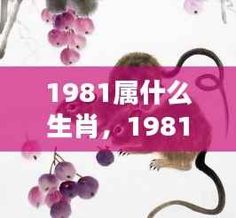 揭秘命运之轮，1981年属鸡人的生肖运势与机遇挑战洞察