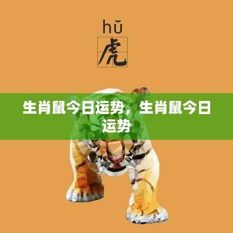 生肖鼠今日运势详解