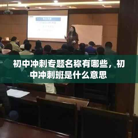 还淳反朴 第4页