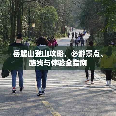 岳麓山登山攻略，必游景点、路线与体验全指南